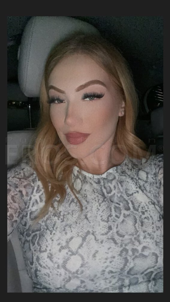 Lily Pornstar escort in Arizona - Dating Pornstar