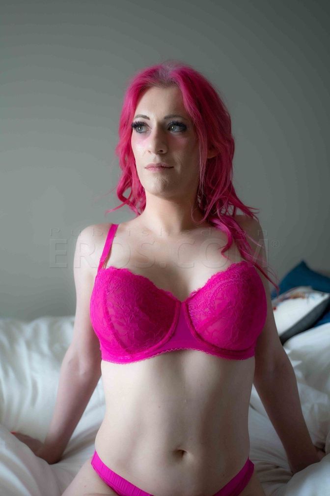 Quinn, Trans Companion, photo 4 of 10
